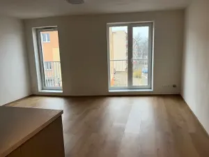 Pronájem bytu 1+kk, České Budějovice, Dobrovodská, 33 m2