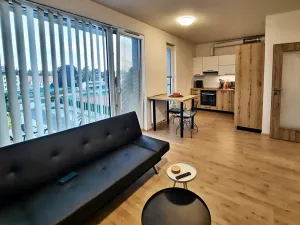 Pronájem bytu 2+kk, Chrudim, Luhanova, 50 m2