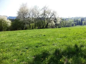 Prodej pole, Semily, 34107 m2