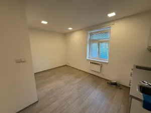 Pronájem bytu 1+kk, Praha - Vršovice, Holandská, 20 m2