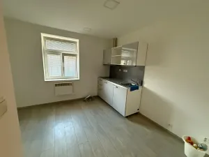 Pronájem bytu 1+kk, Praha - Vršovice, Holandská, 20 m2