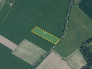 Prodej pole, Velký Borek, 6136 m2