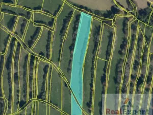 Prodej pole, Nový Rychnov, 73681 m2