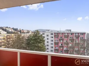 Pronájem bytu 1+1, Brno, Vavřinecká, 35 m2