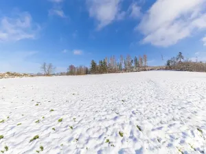 Prodej komerčního pozemku, Valchov, 15204 m2