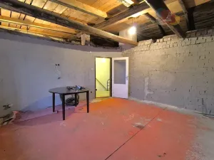 Prodej vícegeneračního domu, Staré Město, Na Baštici, 241 m2