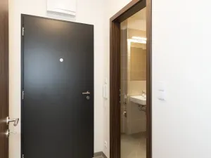 Pronájem bytu 1+kk, Kralupy nad Vltavou, Nádražní, 38 m2