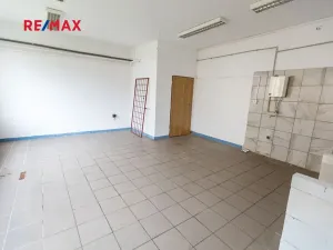 Prodej obchodního prostoru, Město Albrechtice, Míru, 1427 m2