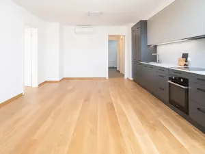 Pronájem bytu 3+kk, Praha - Žižkov, Jeronýmova, 77 m2