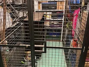 Pronájem bytu 2+1, Benešov, U Pivovaru, 62 m2