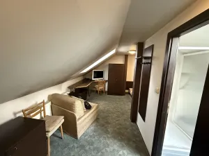 Pronájem pokoje, Praha - Nové Město, Tyršova, 20 m2