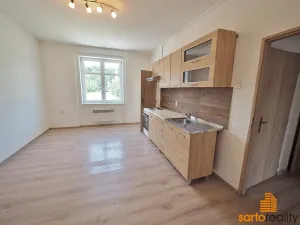 Pronájem bytu 2+1, Ústí nad Labem, Drážďanská, 60 m2