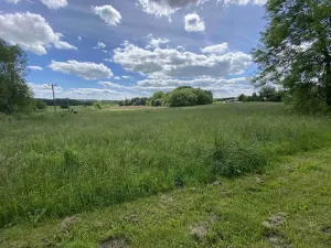 Dražba pozemku pro bydlení, Slavonice, 1281 m2