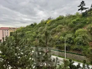 Pronájem bytu 2+1, Brno, 53 m2