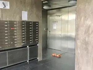 Pronájem bytu 2+kk, Praha, Lovosická, 58 m2