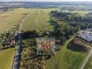 Prodej lesa, Sazomín, 11295 m2