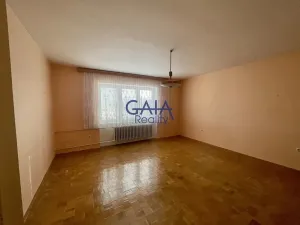 Prodej rodinného domu, Veselí nad Moravou, Břestek, 230 m2