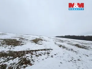 Prodej louky, Lichkov, 7222 m2