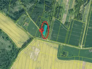 Prodej podílu lesa, Vlastec, 2339 m2