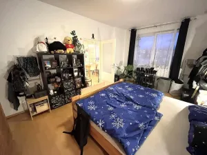 Pronájem bytu 2+kk, Brno - Slatina, Langrova, 64 m2