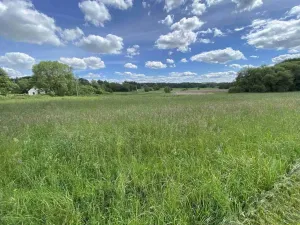 Prodej pozemku, Slavonice, 3058 m2