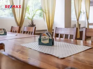 Prodej obchodního prostoru, Čelákovice, Rumunská, 794 m2