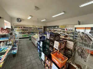 Prodej obchodního prostoru, Třeboň, 124 m2