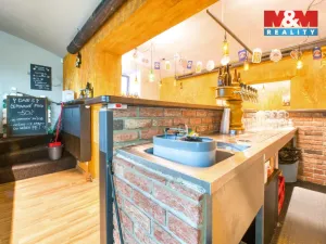 Pronájem obchodního prostoru, Plzeň - Jižní Předměstí, Americká, 102 m2