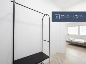 Pronájem bytu 1+kk, Brno, Cejl, 29 m2