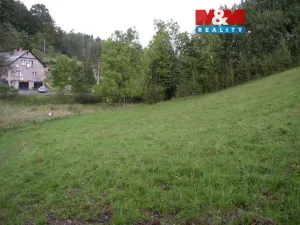 Prodej louky, Janův Důl, 2749 m2