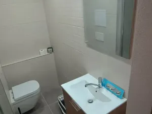 Pronájem bytu 1+1, Plzeň, Na Dlouhých, 40 m2