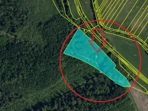 Prodej lesa, Čejkovice, 8895 m2