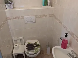 Prodej rodinného domu, Šumice, 250 m2