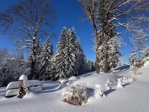 Prodej chaty, Kořenov - Polubný, 200 m2