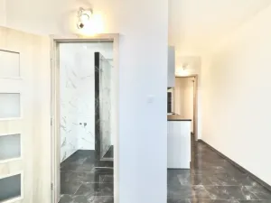 Pronájem bytu 2+1, Ústí nad Labem - Ústí nad Labem-centrum, SNP, 62 m2