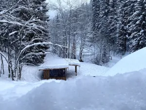 Prodej bytu 2+1, Špindlerův Mlýn, 60 m2