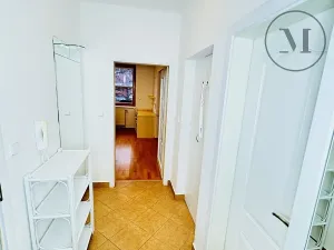 Pronájem bytu 1+1, České Budějovice, Riegrova, 55 m2