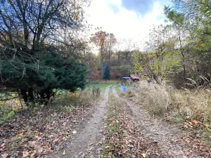 Prodej lesa, Jílové u Prahy, 14982 m2