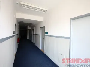 Pronájem kanceláře, Plzeň, Částkova, 15 m2