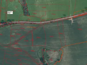 Prodej pole, Bělá nad Radbuzou, 174301 m2