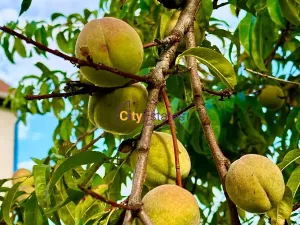 Prodej rodinného domu, Brandýs nad Labem-Stará Boleslav, Karla Šebora, 160 m2