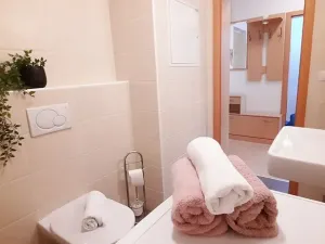 Pronájem bytu 1+kk, Brno, Šemberova, 48 m2