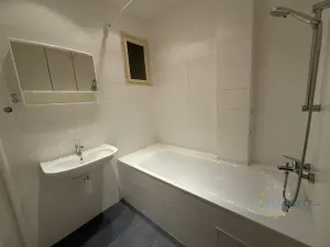 Pronájem bytu 1+kk, Praha - Nusle, V Horkách, 35 m2