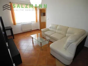 Pronájem bytu 2+1, Plzeň, Malesická, 50 m2