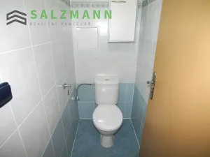 Pronájem bytu 2+1, Plzeň, Malesická, 50 m2