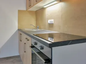 Pronájem bytu 1+kk, Plzeň, Železniční, 40 m2