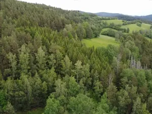 Dražba louky, Rejštejn, 1970 m2