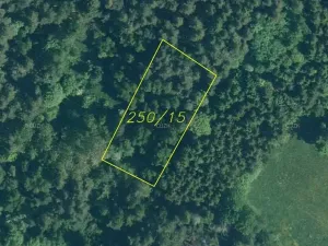 Dražba louky, Rejštejn, 1970 m2