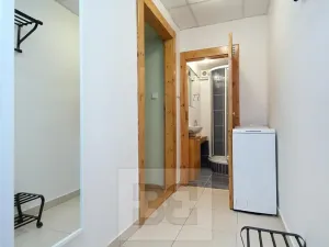 Prodej bytu 1+kk, Praha - Nusle, U družstva Ideál, 27 m2