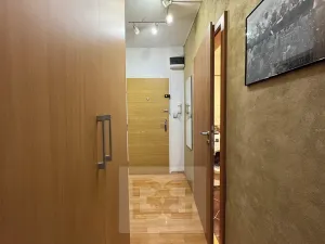 Pronájem bytu 1+1, Brno, Teyschlova, 41 m2